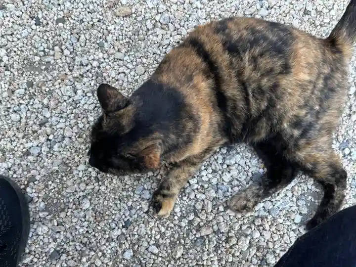 神館神社の動物