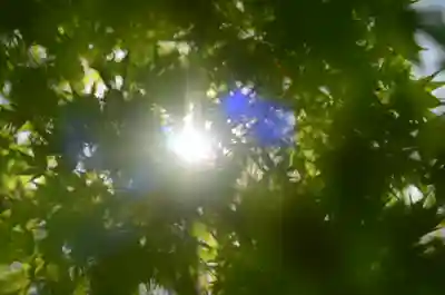  智積院(京都府)