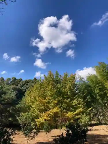 小坂熊野神社(茨城県)
