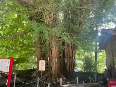 山寺日枝神社(山形県)