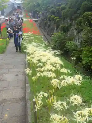 横浜　西方寺(神奈川県)