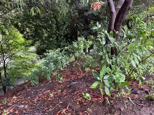 増上寺(東京都)