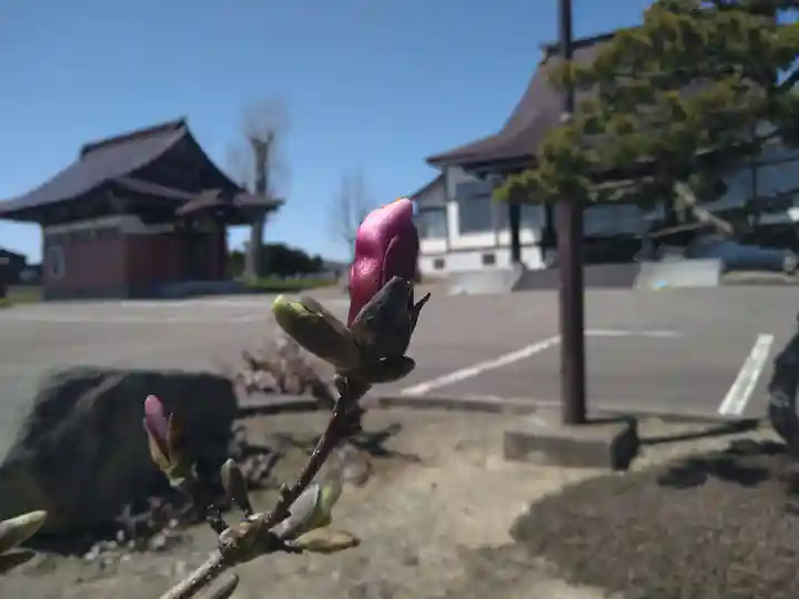 雨竜 専福寺(北海道)