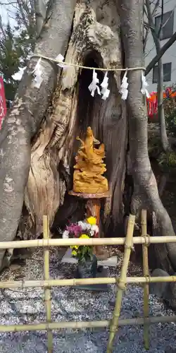 秩父今宮神社の自然