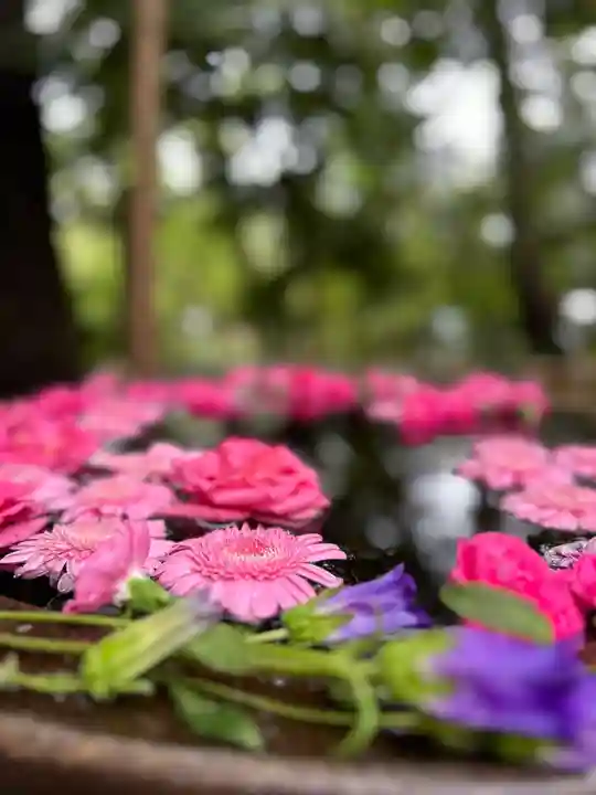 武蔵一宮氷川神社(埼玉県)