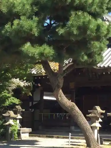 八雲神社の自然