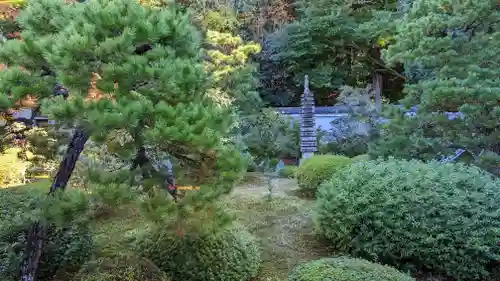 隨心院（随心院）(京都府)