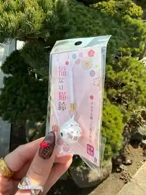 興徳寺の{uncategorized: "未分類", other: "その他", undefined: "問題あり", building: "その他建物", grave: "お墓", sacred_gate: "鳥居", guardian: "狛犬", statue: "像", buddha: "仏像", history: "歴史", nature: "自然", garden: "庭園", animal: "動物", pagoda: "塔", temizu: "手水舎", mountain_gate: "山門・神門", sanctuary: "本殿・本堂", subordinate: "末社・摂社", art: "芸術", scenery: "景色", jizo: "地蔵", ema: "絵馬", goshuin: "御朱印", omikuji: "おみくじ", items: "授与品その他", amulet: "お守り", goshuincho: "御朱印帳", eats: "食事", festival: "お祭り", votive_dance: "神楽", shichigosan: "七五三参", wedding: "結婚式", experience: "体験その他", initially: "初詣", around: "周辺", anti_infection: "感染症対策"}