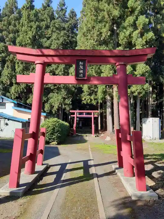 加茂神社の鳥居