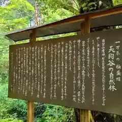 目の霊山　油山寺(静岡県)