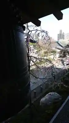 西新井大師総持寺のその他建物