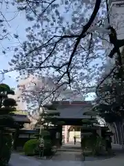 常圓寺の山門