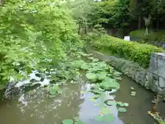 鶴岡八幡宮の庭園