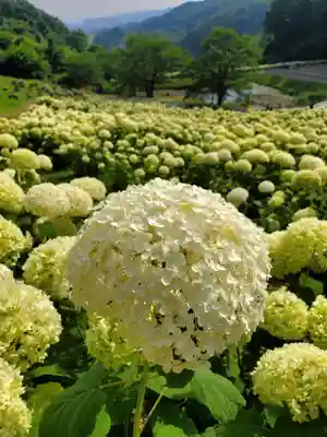 陽林寺(福島県)