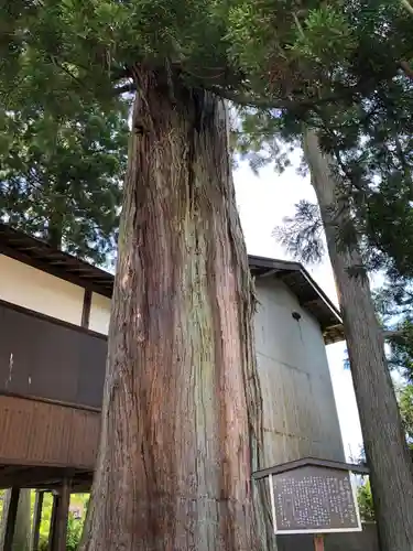 栗原神社の自然