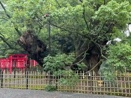 浜松八幡宮(静岡県)