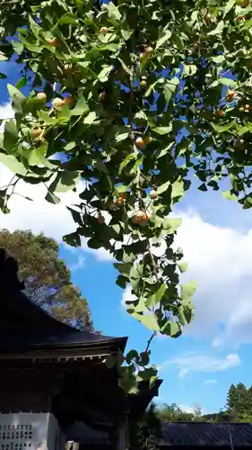 秋保神社の自然