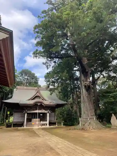 松山神社(千葉県)