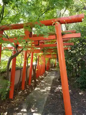 祝詞神社の鳥居