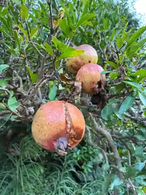 浄安寺(千葉県)