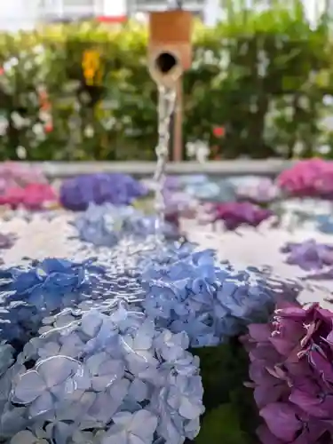 桜神宮(東京都)