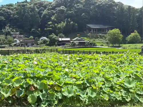 臼杵石仏(大分県)