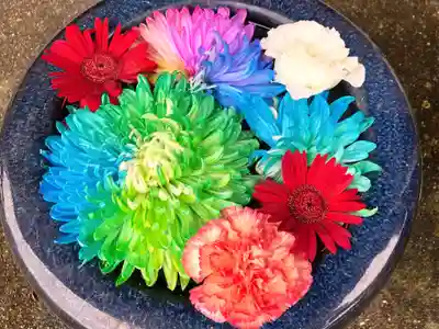 真言宗　善通寺派　薬王寺(香川県)