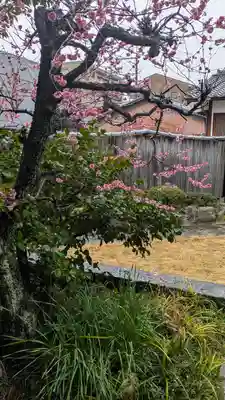 華開院(京都府)
