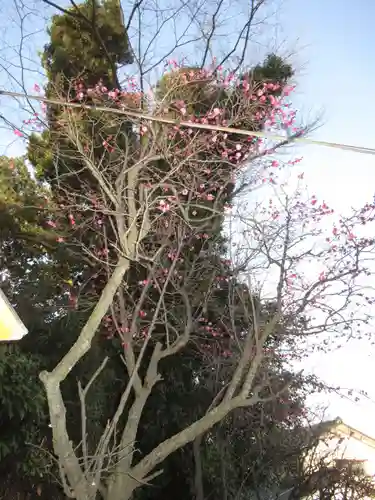 大生郷天満宮(茨城県)