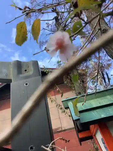 素盞男神社の自然