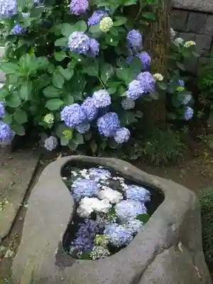 五所神社の手水舎