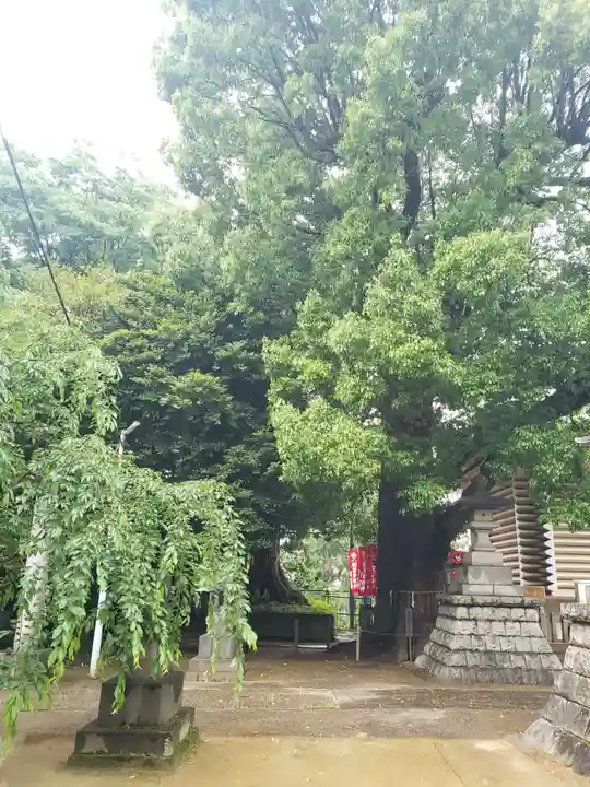 諏訪神社のその他建物