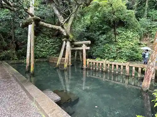 鹿島神宮(茨城県)