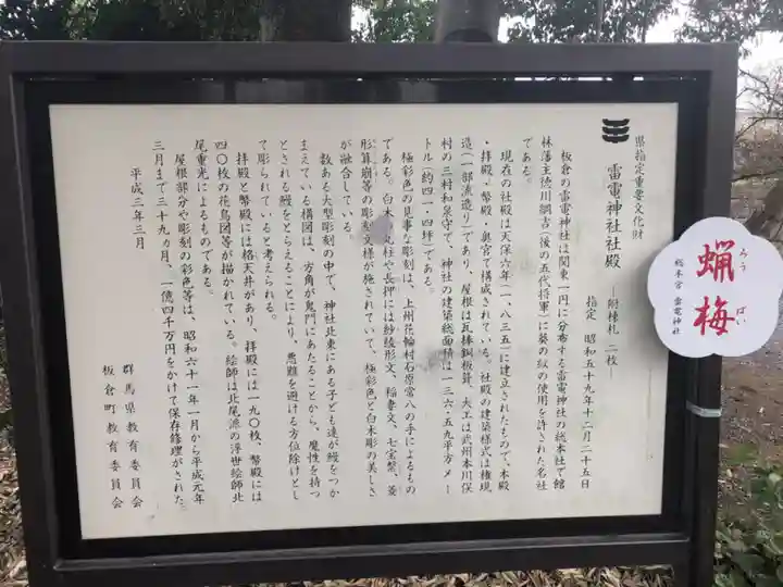板倉雷電神社(群馬県)