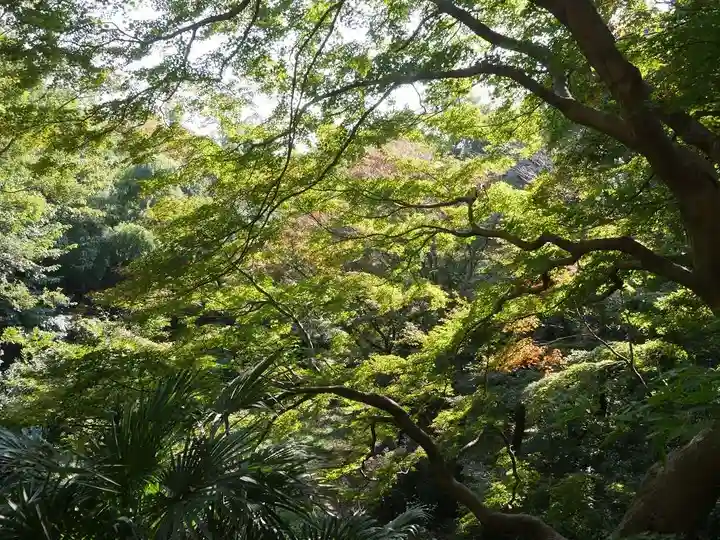 明王院(満願寺別院)の自然