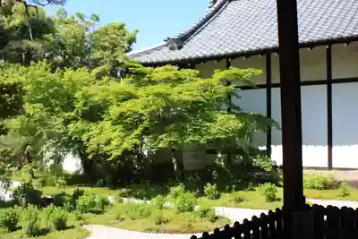 廬山寺（廬山天台講寺）(京都府)