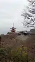 清水寺の景色