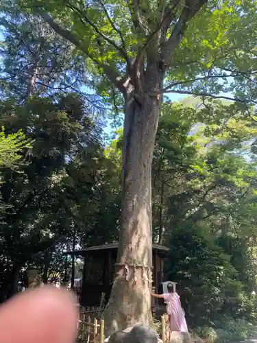 前鳥神社(神奈川県)