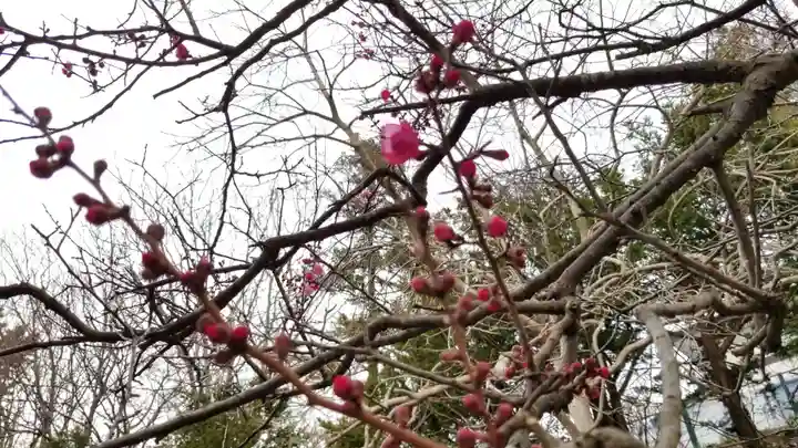 帰厚院(北海道)