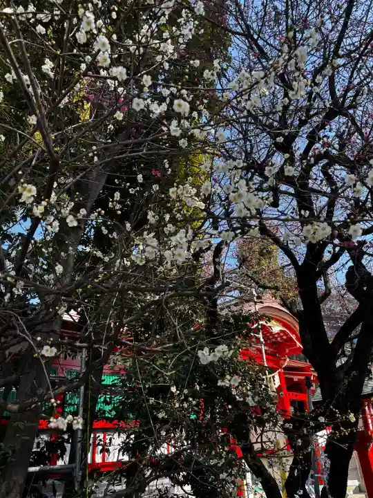 馬橋稲荷神社の{uncategorized: "未分類", other: "その他", undefined: "問題あり", building: "その他建物", grave: "お墓", sacred_gate: "鳥居", guardian: "狛犬", statue: "像", buddha: "仏像", history: "歴史", nature: "自然", garden: "庭園", animal: "動物", pagoda: "塔", temizu: "手水舎", mountain_gate: "山門・神門", sanctuary: "本殿・本堂", subordinate: "末社・摂社", art: "芸術", scenery: "景色", jizo: "地蔵", ema: "絵馬", goshuin: "御朱印", omikuji: "おみくじ", items: "授与品その他", amulet: "お守り", goshuincho: "御朱印帳", eats: "食事", festival: "お祭り", votive_dance: "神楽", shichigosan: "七五三参", wedding: "結婚式", experience: "体験その他", initially: "初詣", around: "周辺", anti_infection: "感染症対策"}