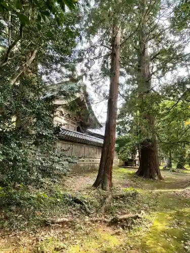 倭文神社の{uncategorized: "未分類", other: "その他", undefined: "問題あり", building: "その他建物", grave: "お墓", sacred_gate: "鳥居", guardian: "狛犬", statue: "像", buddha: "仏像", history: "歴史", nature: "自然", garden: "庭園", animal: "動物", pagoda: "塔", temizu: "手水舎", mountain_gate: "山門・神門", sanctuary: "本殿・本堂", subordinate: "末社・摂社", art: "芸術", scenery: "景色", jizo: "地蔵", ema: "絵馬", goshuin: "御朱印", omikuji: "おみくじ", items: "授与品その他", amulet: "お守り", goshuincho: "御朱印帳", eats: "食事", festival: "お祭り", votive_dance: "神楽", shichigosan: "七五三参", wedding: "結婚式", experience: "体験その他", initially: "初詣", around: "周辺", anti_infection: "感染症対策"}