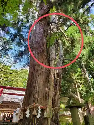 磐椅神社(福島県)