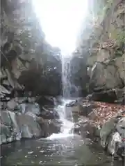 九頭龍神社の建物その他