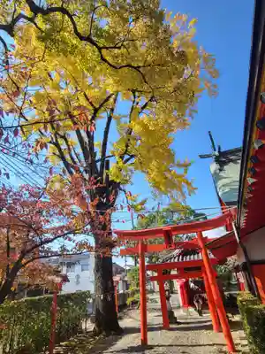 塩屋八幡宮(熊本県)