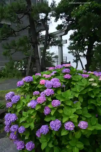 琵琶島神社(神奈川県)