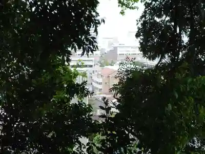 熊野神社(杉田・中原)(神奈川県)