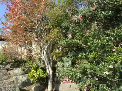 矢田寺(奈良県)