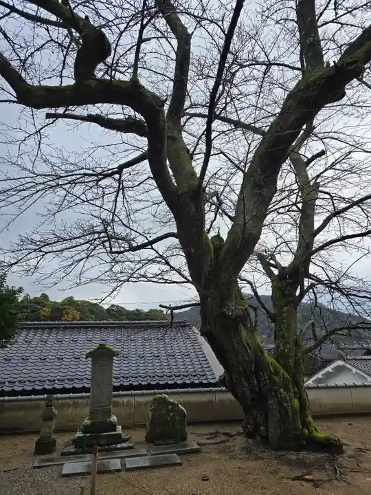 海蔵寺(京都府)