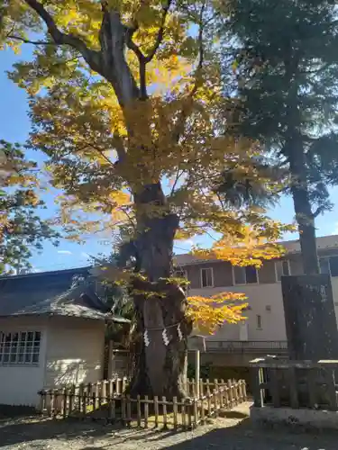 竹駒神社(宮城県)