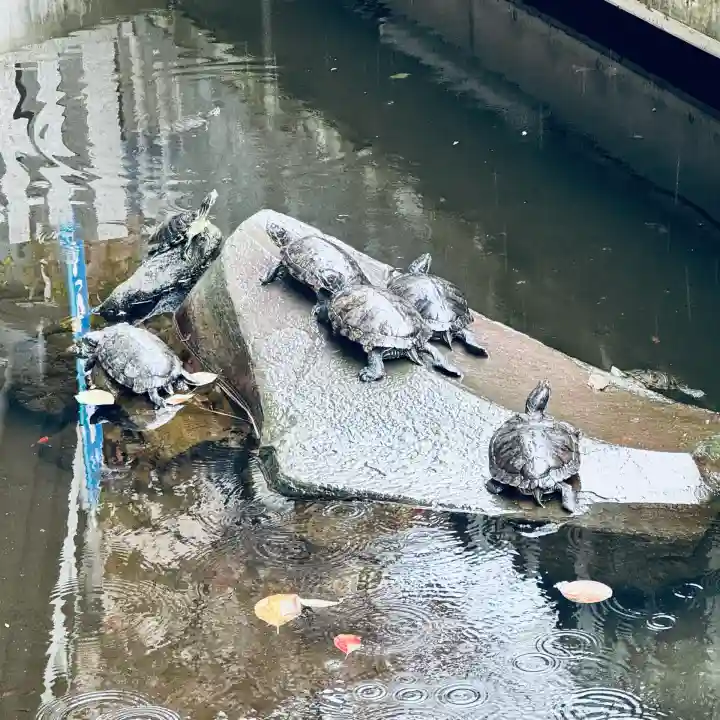 成田山川越別院(埼玉県)